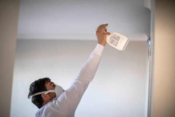 Best Certified Mold Removal  in Black Mountain, NC