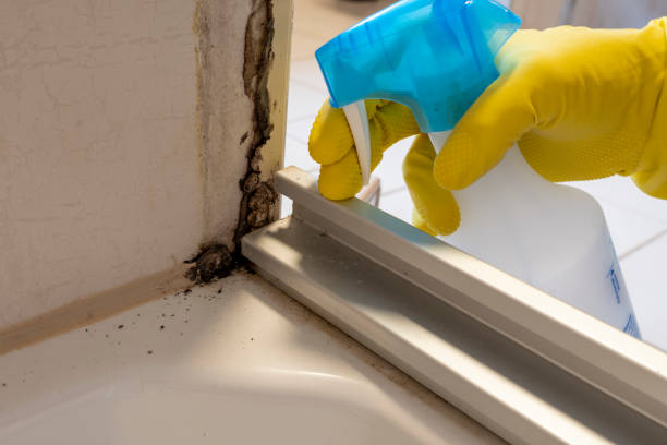 Best Crawl Space Mold Removal  in Black Mountain, NC