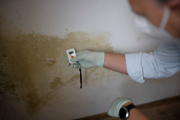 Crawl Space Mold Removal in Black Mountain, NC