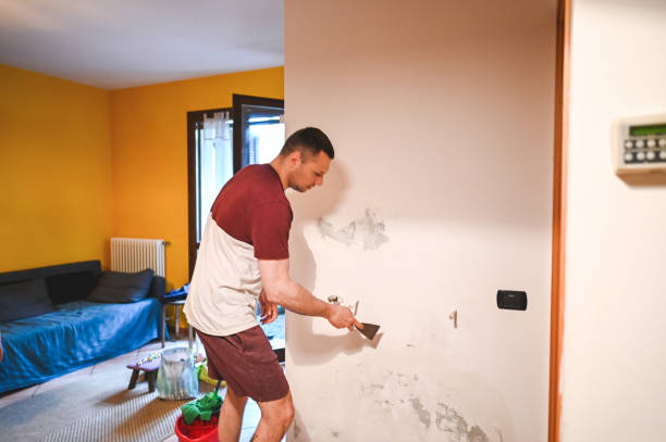 Professional Mold Removal in Black Mountain, NC